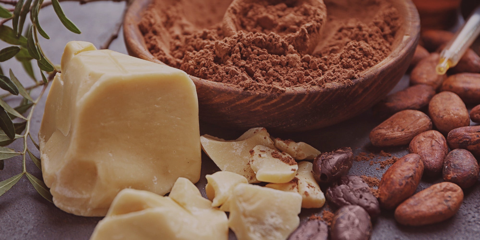 Cocoa Butter for Oily Skin Sheanefit